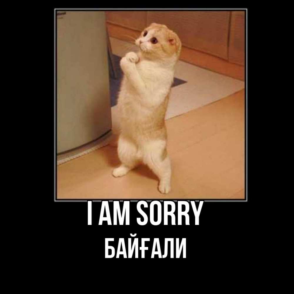 Greetings card с именем, Байғали I am sorry открытка с милым несчастным котиком просящим прощения Greetings with text for free download 