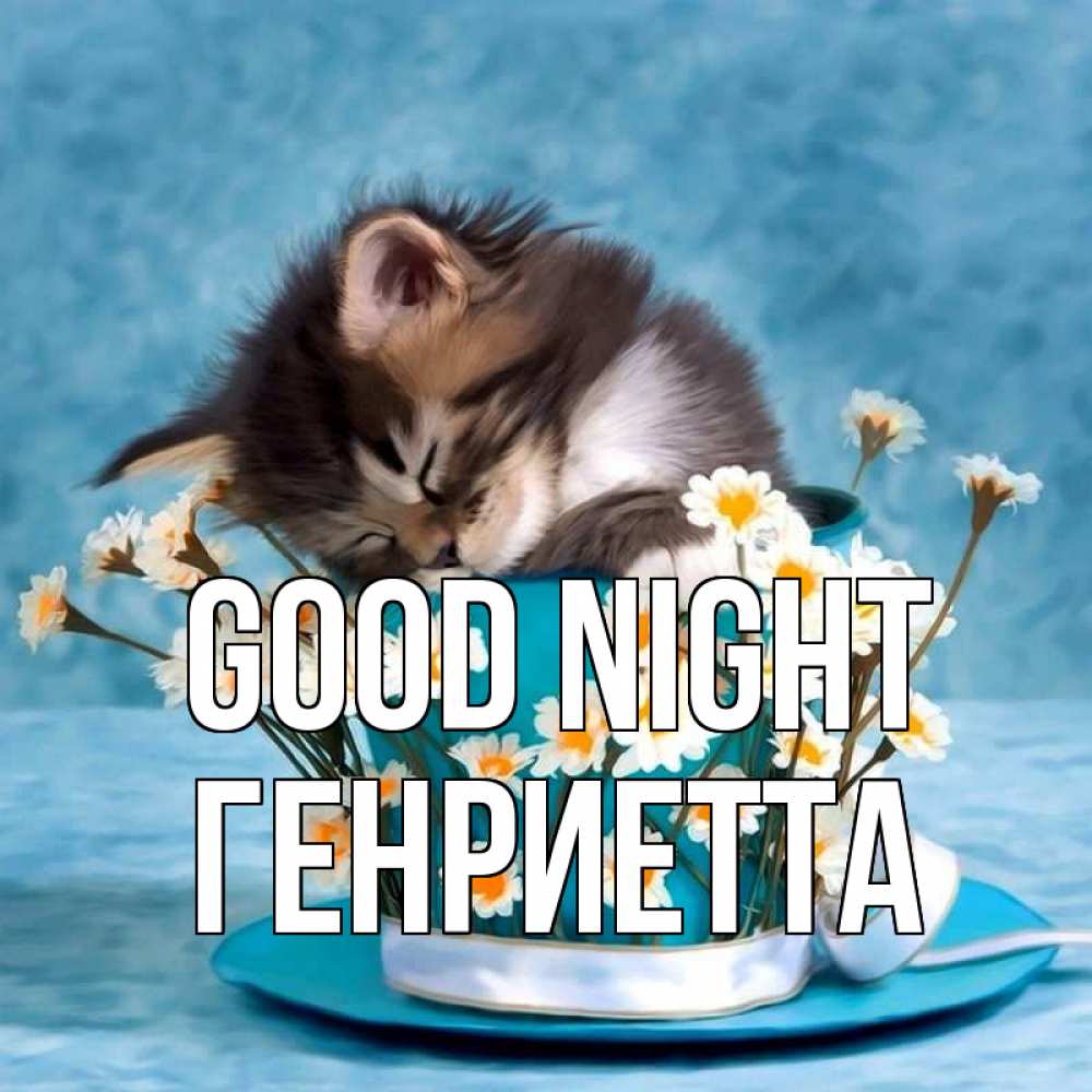 Greetings card с именем, Генриетта Good night котенок спит в кружке с блюдцем Greetings with text for free download 