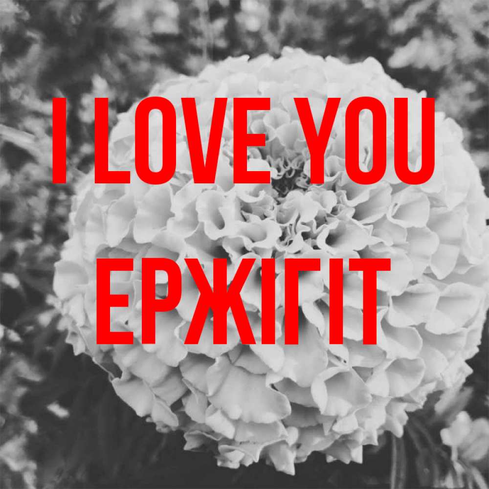 Greetings card с именем, Ержігіт I love you подпись Greetings with text for free download 