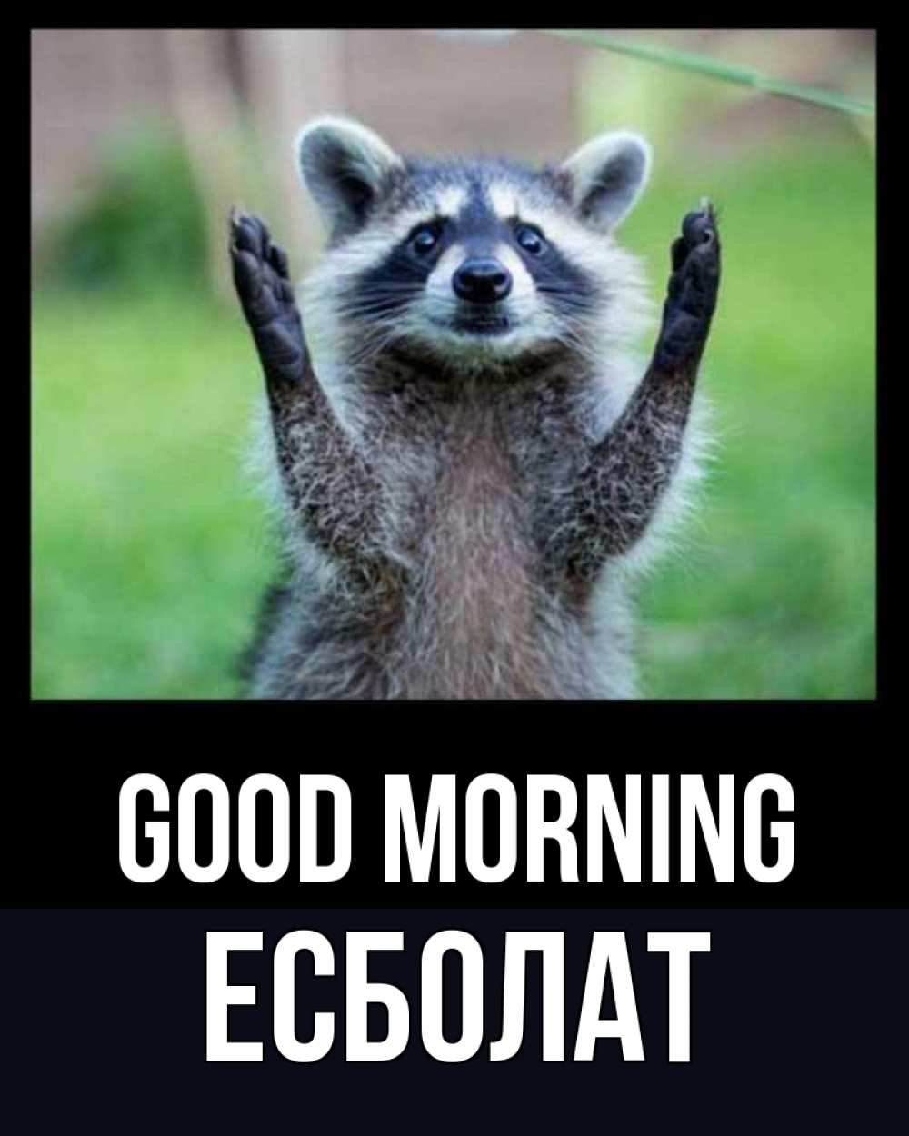 Greetings card с именем, Есболат Good morning хорошее настроение утречком Greetings with text for free download 