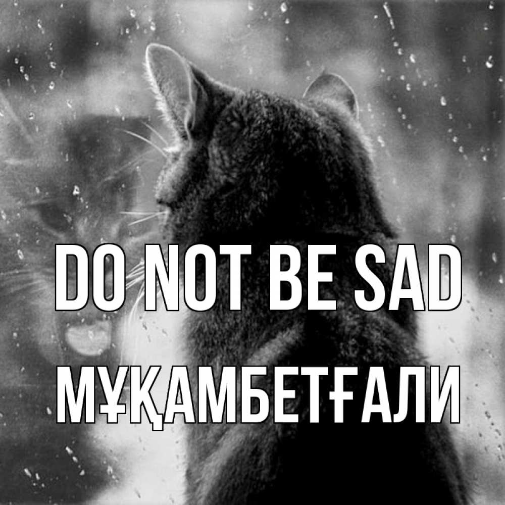 Greetings card с именем, Мұқамбетғали Do not be sad отражение кота 1 Greetings with text for free download 
