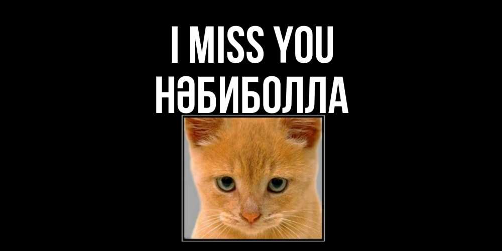 Greetings card с именем, НӘБИБОЛЛА I miss you открытки рыжий котенок скучает по тебе Greetings with text for free download 
