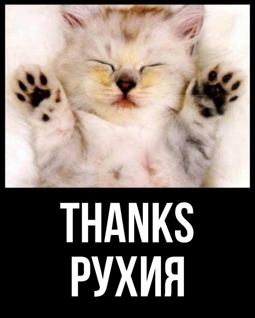 Greetings card с именем, РУХИЯ Thanks маленький котенок Greetings with text for free download 