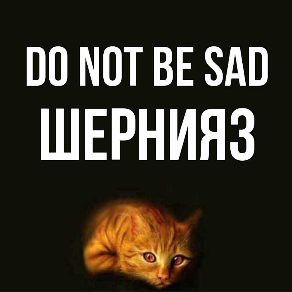 Greetings card с именем, ШЕРНИЯЗ Do not be sad лежащий кот в темноте Greetings with text for free download 