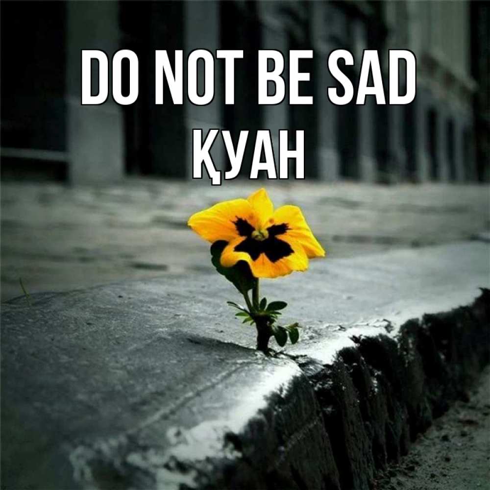 Greetings card с именем, ҚУАН Do not be sad не сдавайся Greetings with text for free download 