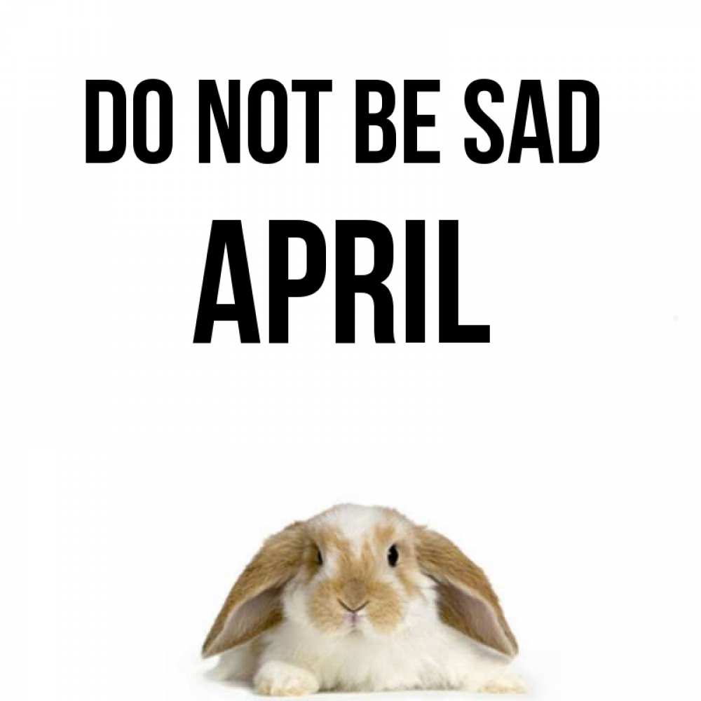 Greetings card с именем, April Do not be sad коричнево белый заяц с большими ушками Greetings with text for free download 
