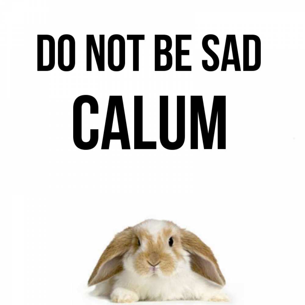 Greetings card с именем, Calum Do not be sad коричнево белый заяц с большими ушками Greetings with text for free download 