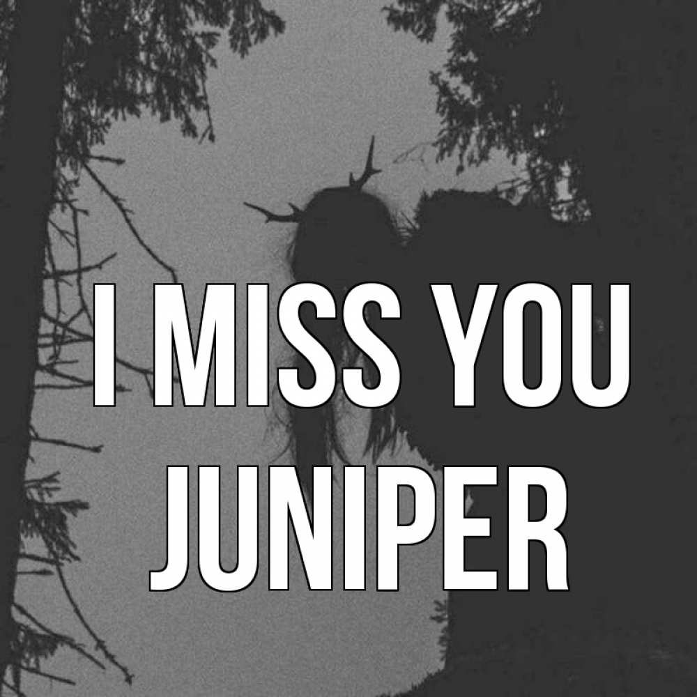 Greetings card с именем, Juniper I miss you пугаю Greetings with text for free download 