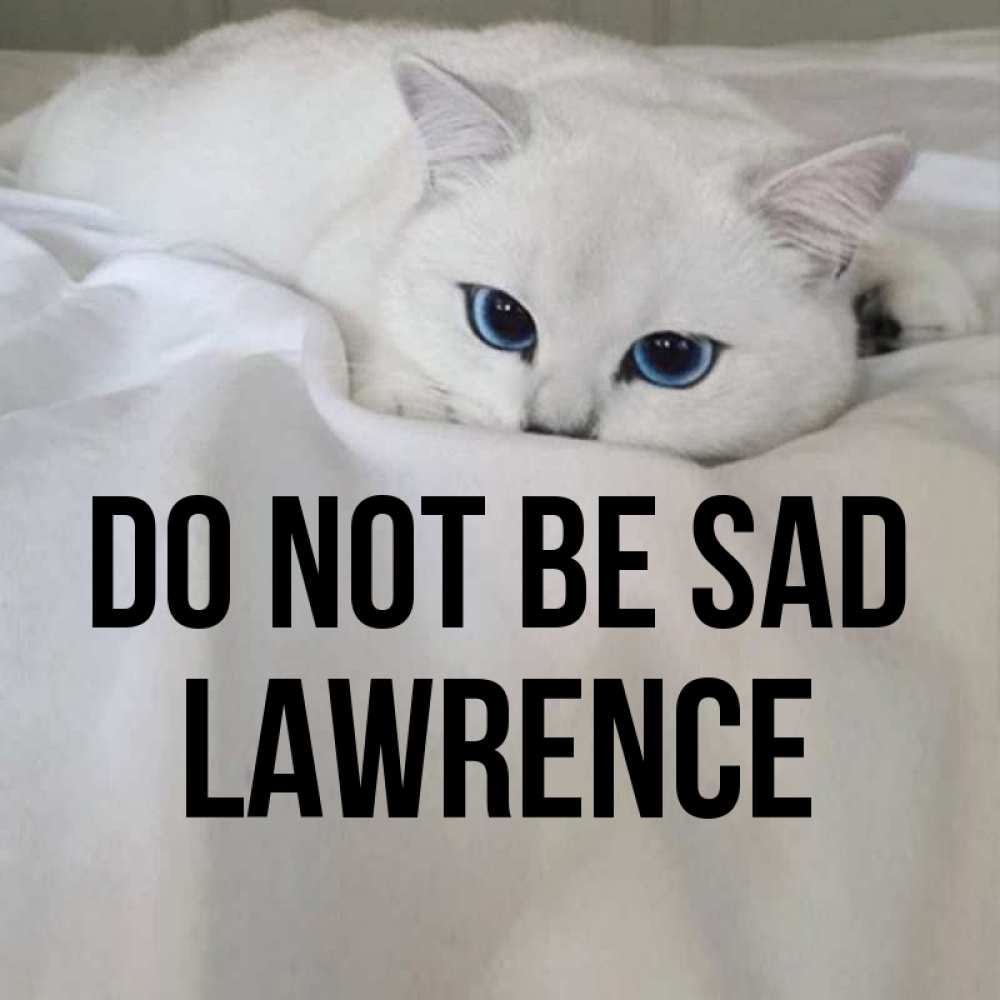 Greetings card с именем, Lawrence Do not be sad Голубоглазая кошка Greetings with text for free download 