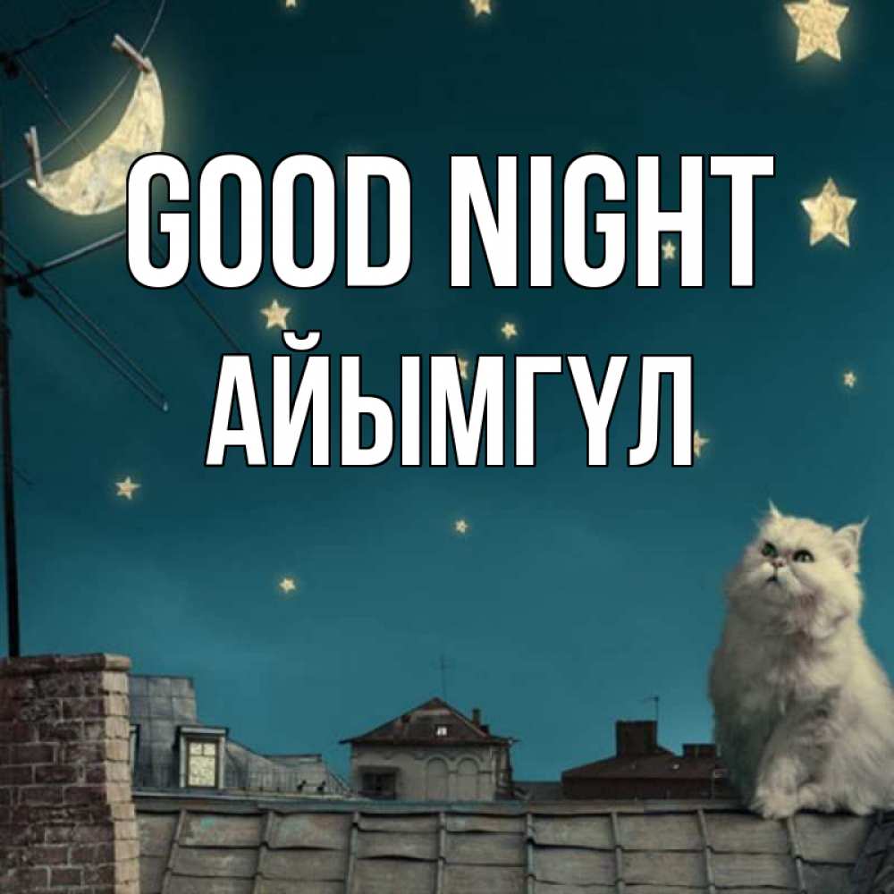 Greetings card с именем, АЙЫМГҮЛ Good night белый кот сидит на крыше Greetings with text for free download 