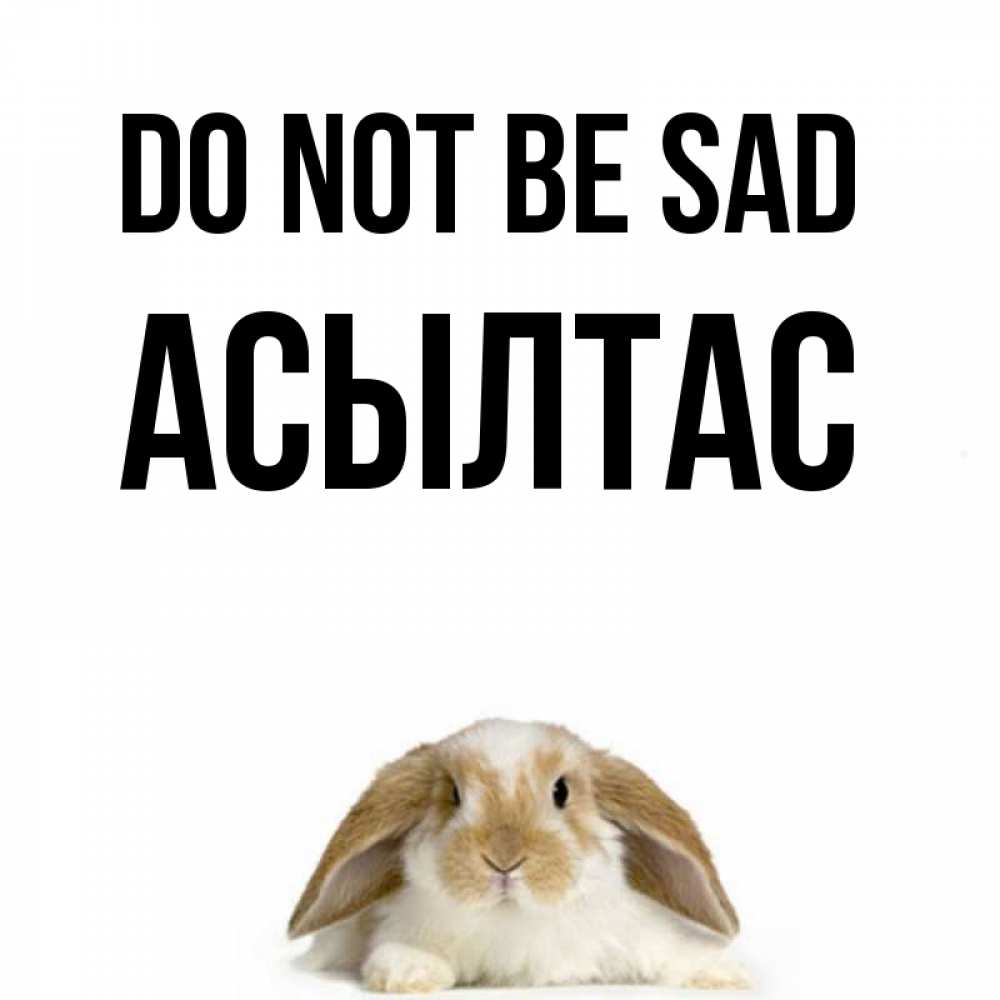 Greetings card с именем, АСЫЛТАС Do not be sad коричнево белый заяц с большими ушками Greetings with text for free download 
