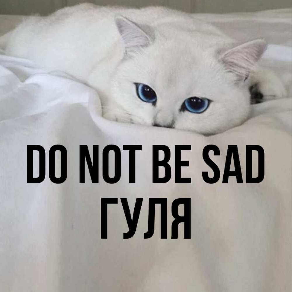 Greetings card с именем, Гуля Do not be sad Голубоглазая кошка Greetings with text for free download 