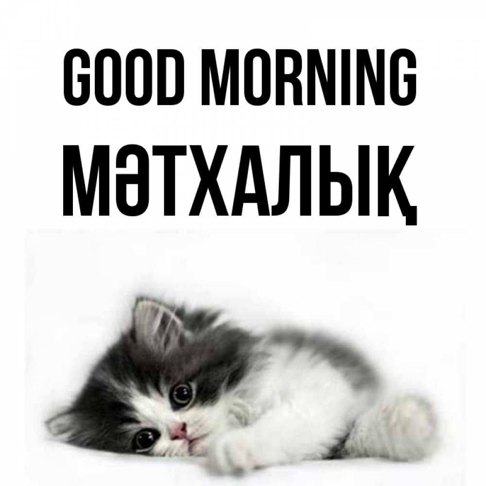 Greetings card с именем, МӘТХАЛЫҚ Good morning кот лапки Greetings with text for free download 