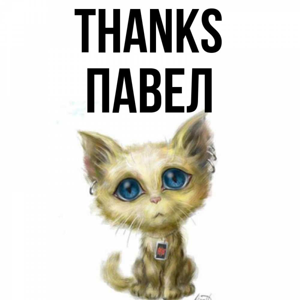 Greetings card с именем, Павел Thanks рисованный кот благодарит вас Greetings with text for free download 