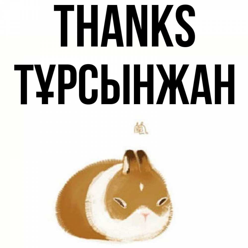 Greetings card с именем, ТҰРСЫНЖАН Thanks коричнево белый домашний питомец Greetings with text for free download 