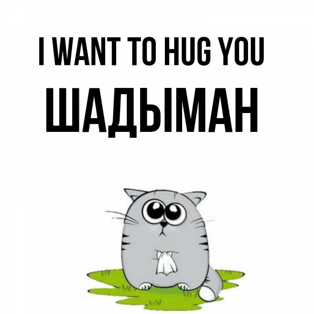 Greetings card с именем, ШАДЫМАН I want to hug you котик теребит платочек сидя на травке Greetings with text for free download 