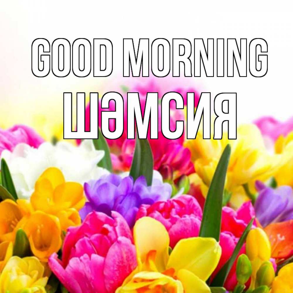 Greetings card с именем, ШӘМСИЯ Good morning создать открытку со свое подписью Greetings with text for free download 
