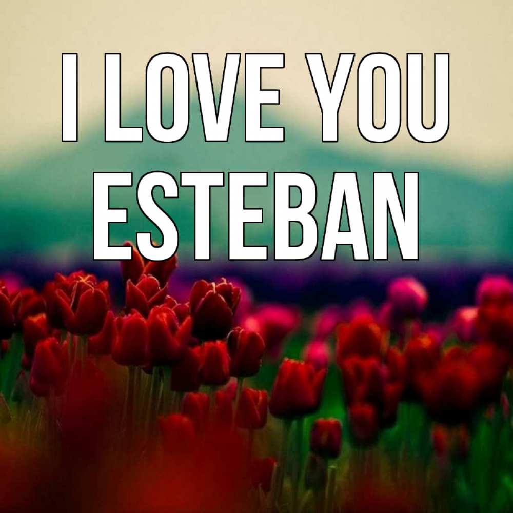 Greetings card с именем, Esteban I love you тюльпаны 4 Greetings with text for free download 