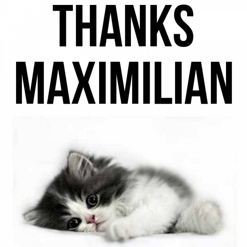 Greetings card с именем, Maximilian Thanks черный и белый кот Greetings with text for free download 