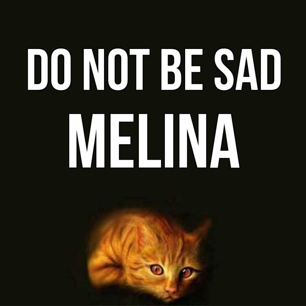 Greetings card с именем, Melina Do not be sad лежащий кот в темноте Greetings with text for free download 