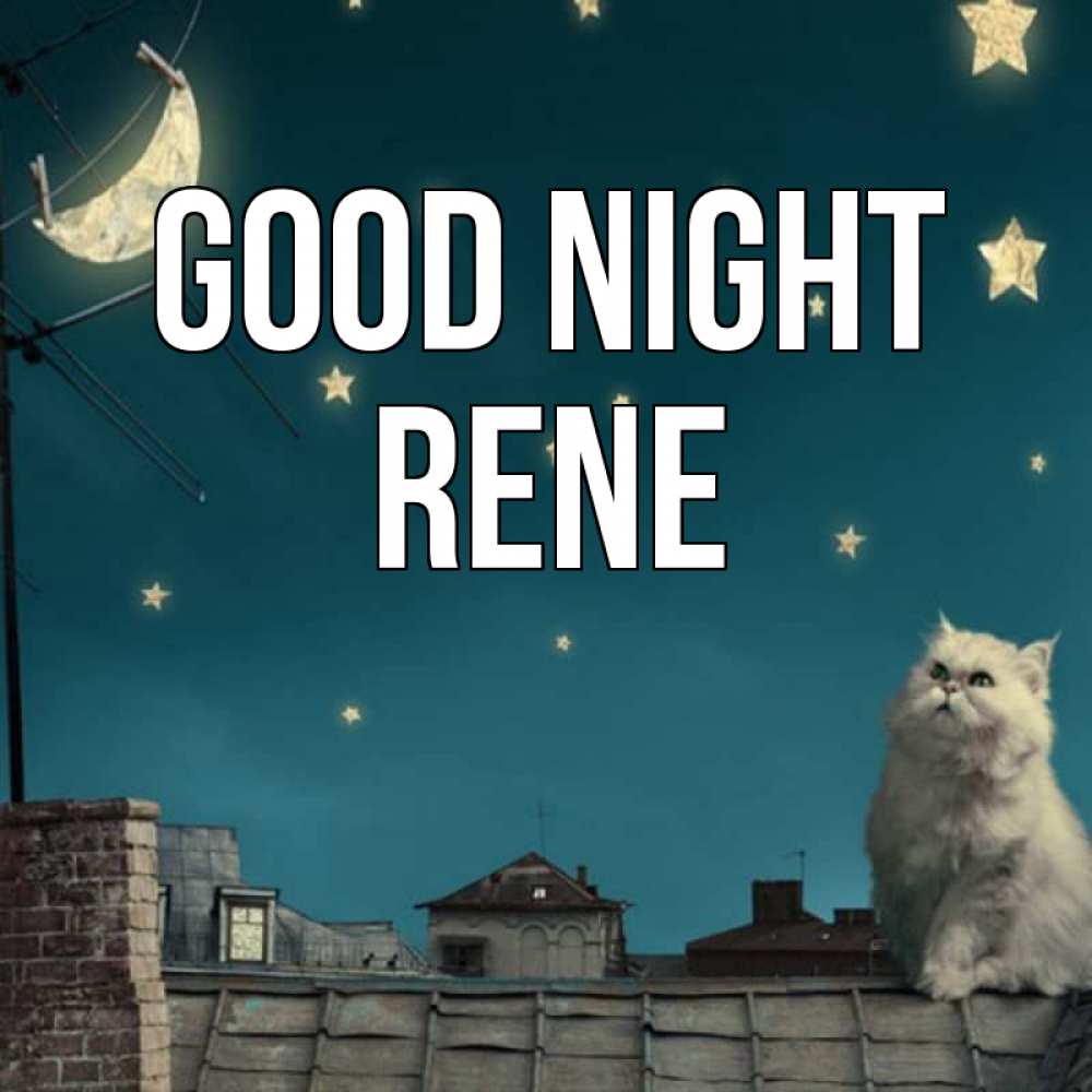 Greetings card с именем, Rene Good night белый кот сидит на крыше Greetings with text for free download 