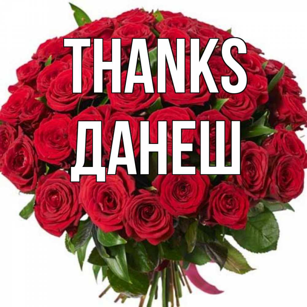 Greetings card с именем, ДАНЕШ Thanks букет красных роз Greetings with text for free download 