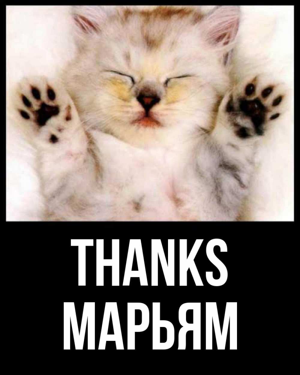 Greetings card с именем, Марьям Thanks маленький котенок Greetings with text for free download 