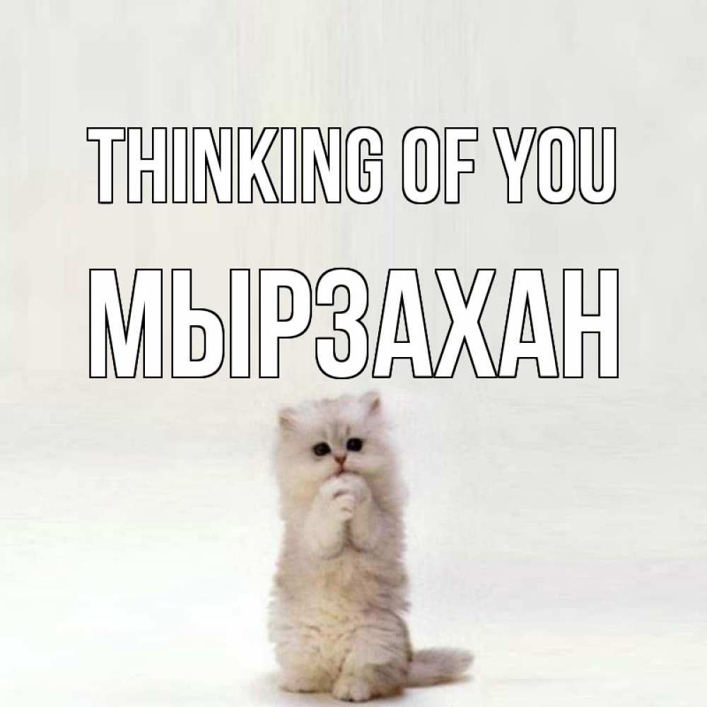Greetings card с именем, Мырзахан Thinking of you кот стоит на задних лапах Greetings with text for free download 