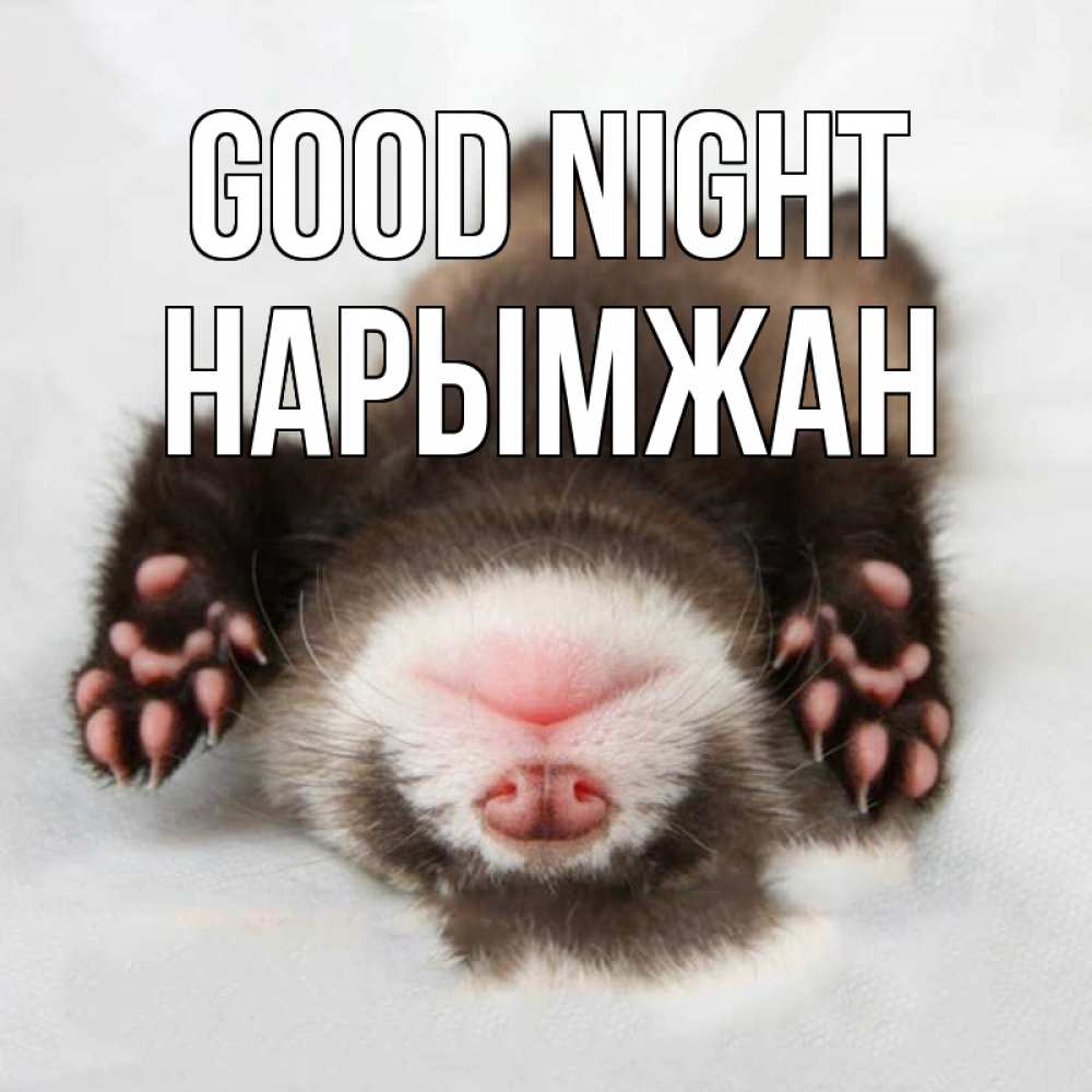 Greetings card с именем, НАРЫМЖАН Good night зверек Greetings with text for free download 