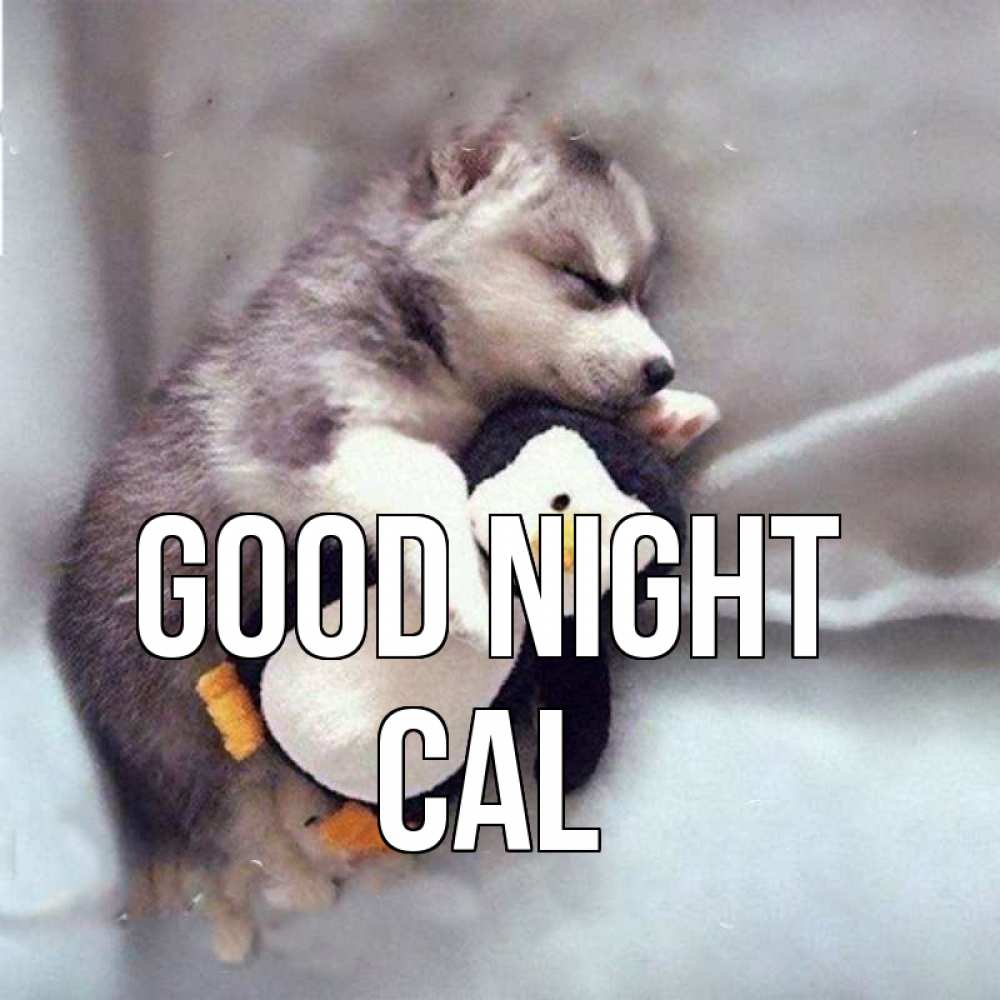 Greetings card с именем, Cal Good night обнимашки щенка и пингвина Greetings with text for free download 