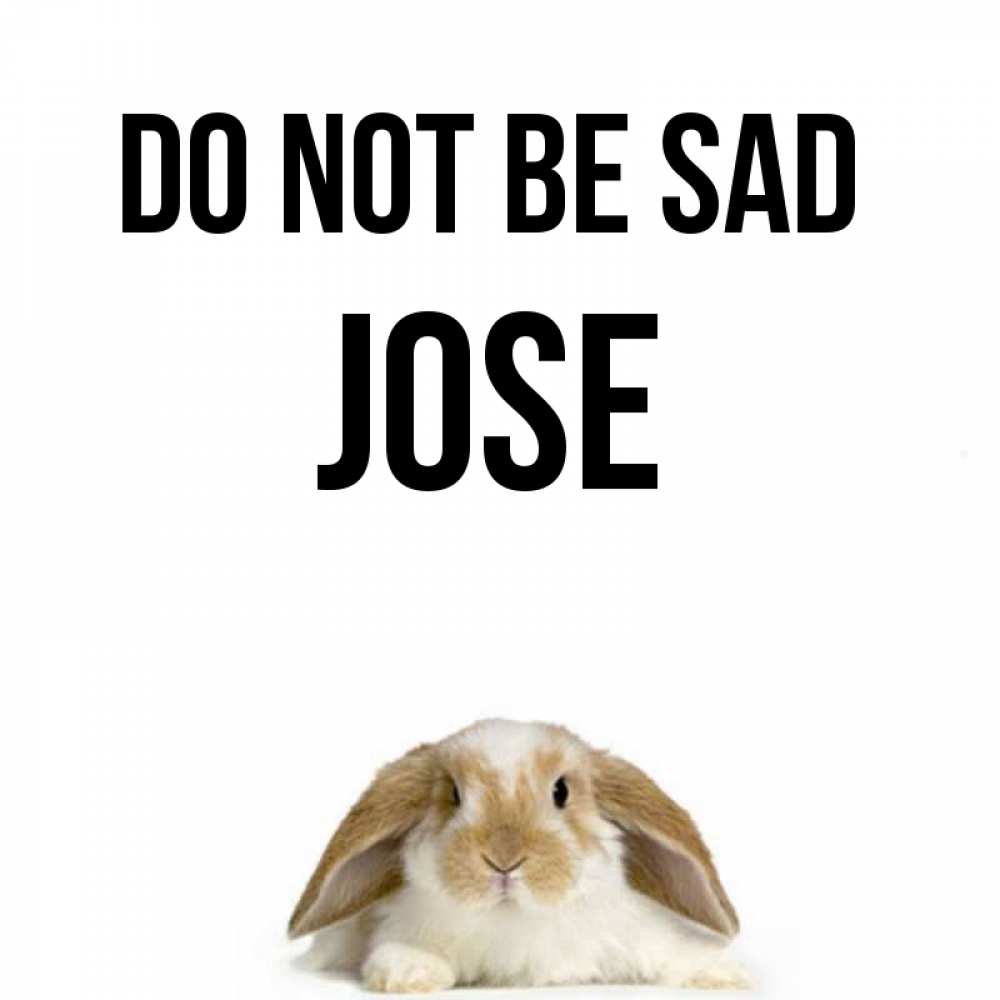 Greetings card с именем, Jose Do not be sad коричнево белый заяц с большими ушками Greetings with text for free download 