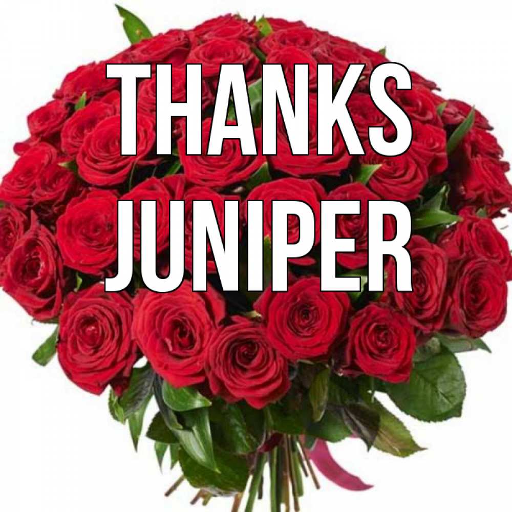 Greetings card с именем, Juniper Thanks букет красных роз Greetings with text for free download 