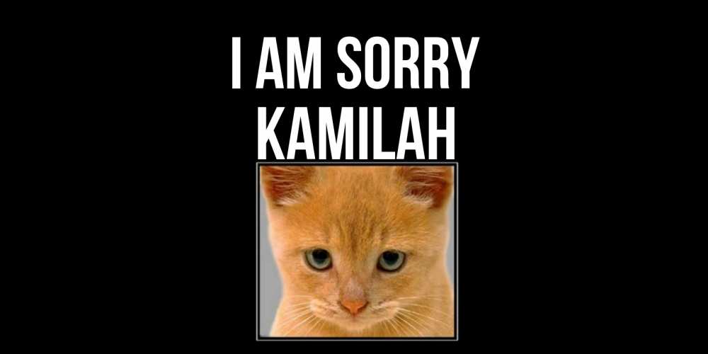 Greetings card с именем, Kamilah I am sorry рыжий грустный кот просит прощения Greetings with text for free download 