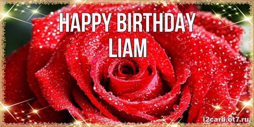 Greetings card с именем, Liam Happy Birthday роса и роза. открытка с красивой розой Greetings with text for free download 