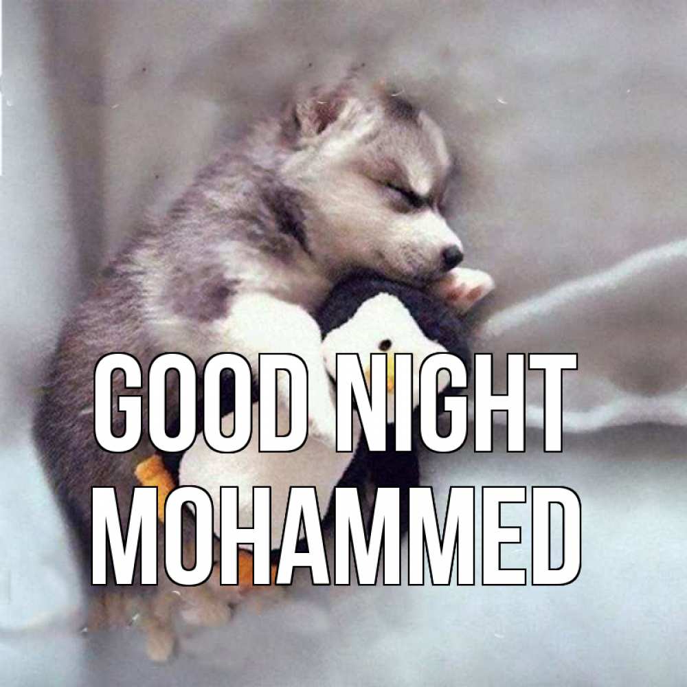 Greetings card с именем, Mohammed Good night обнимашки щенка и пингвина Greetings with text for free download 