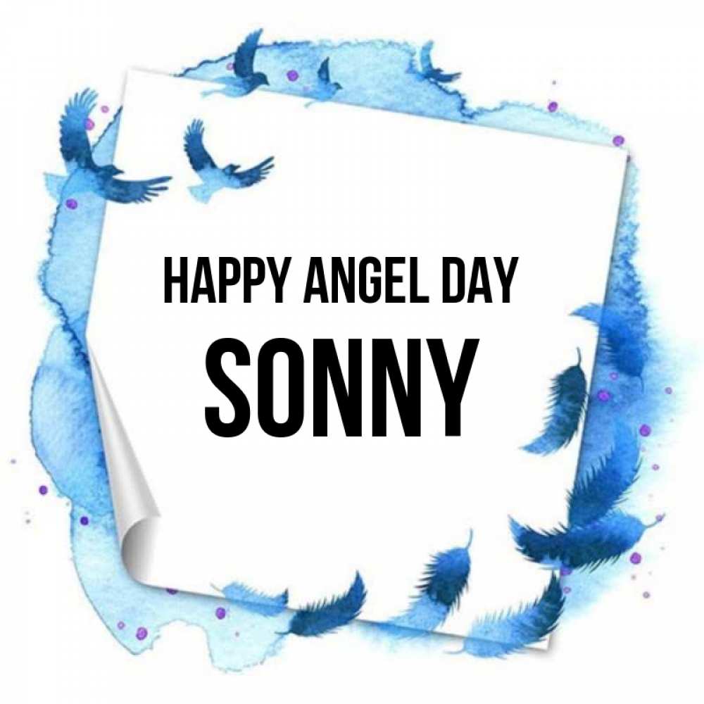 Greetings card с именем, Sonny happy angel day красивые птицы летят Greetings with text for free download 