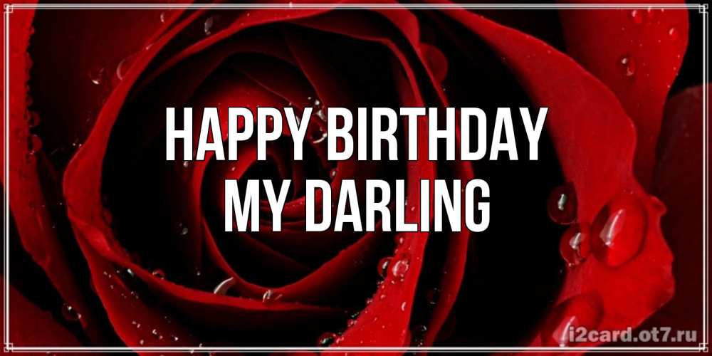 Greetings card с именем, my-darling Happy Birthday крупная бордовая роза Greetings with text for free download 