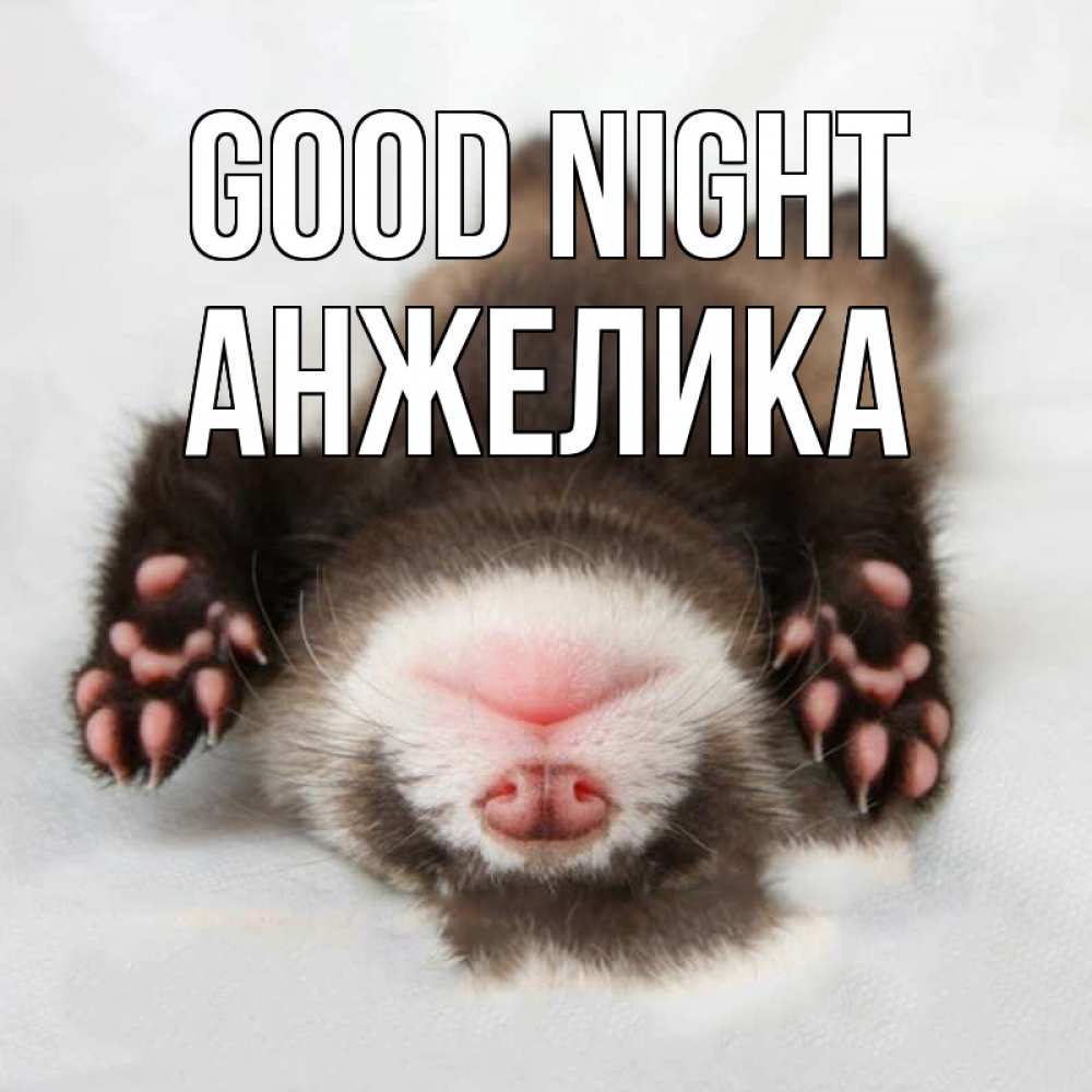 Greetings card с именем, Анжелика Good night зверек Greetings with text for free download 