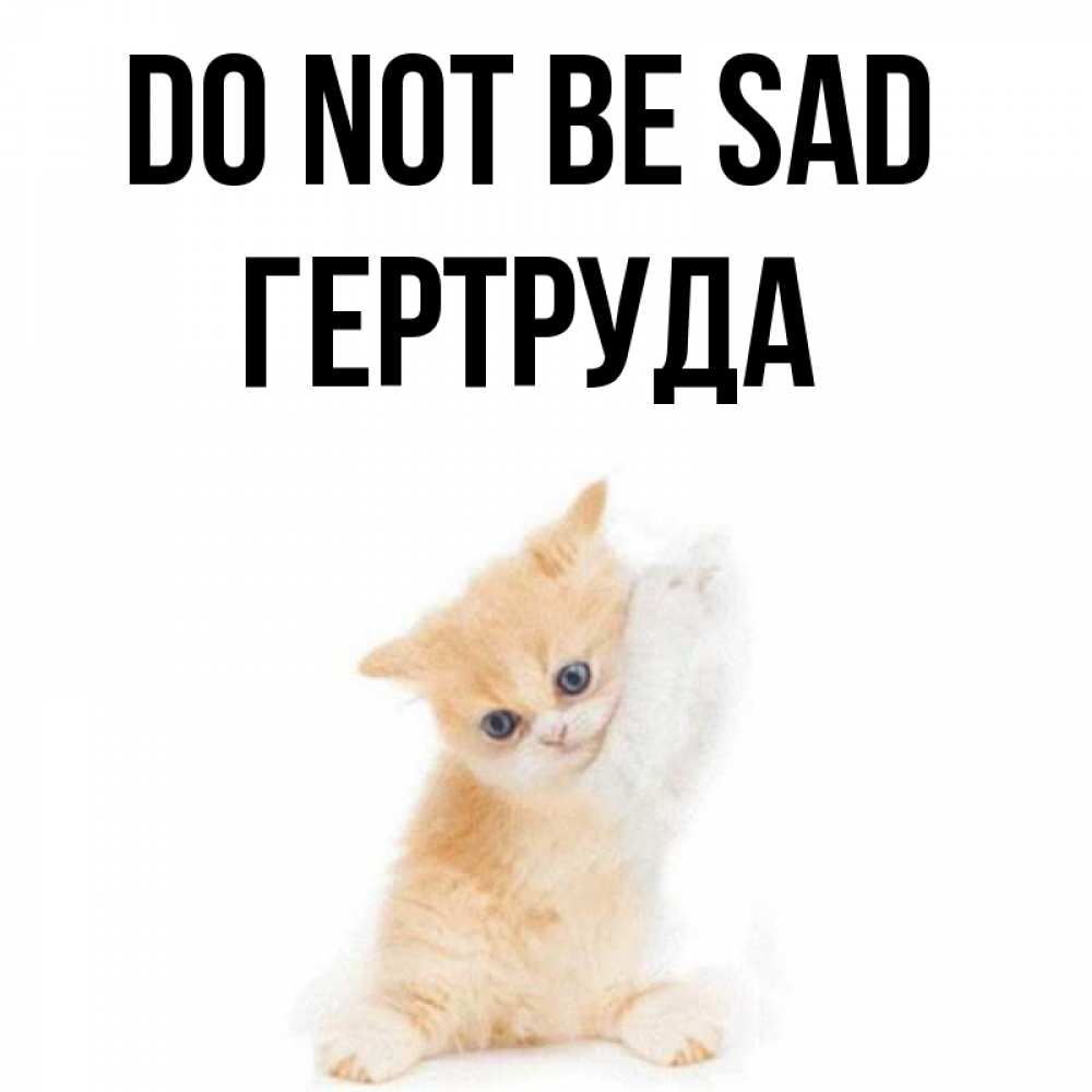 Greetings card с именем, Гертруда Do not be sad просящий кот Greetings with text for free download 