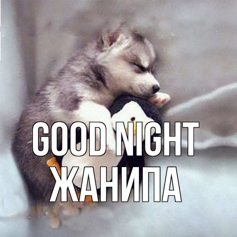 Greetings card с именем, ЖАНИПА Good night обнимашки щенка и пингвина Greetings with text for free download 