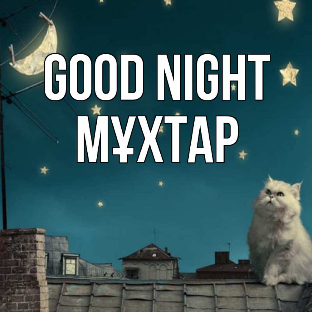 Greetings card с именем, МҰХТАР Good night белый кот сидит на крыше Greetings with text for free download 