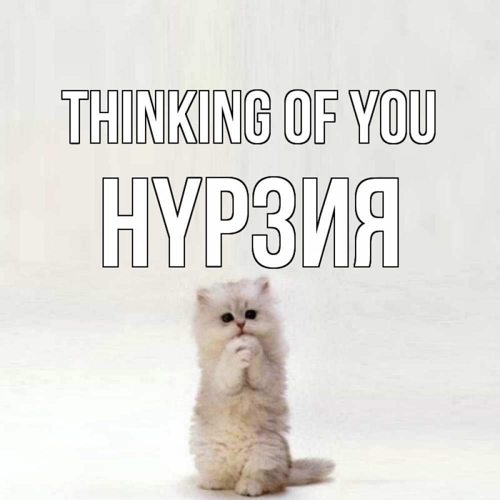 Greetings card с именем, НҮРЗИЯ Thinking of you кот стоит на задних лапах Greetings with text for free download 