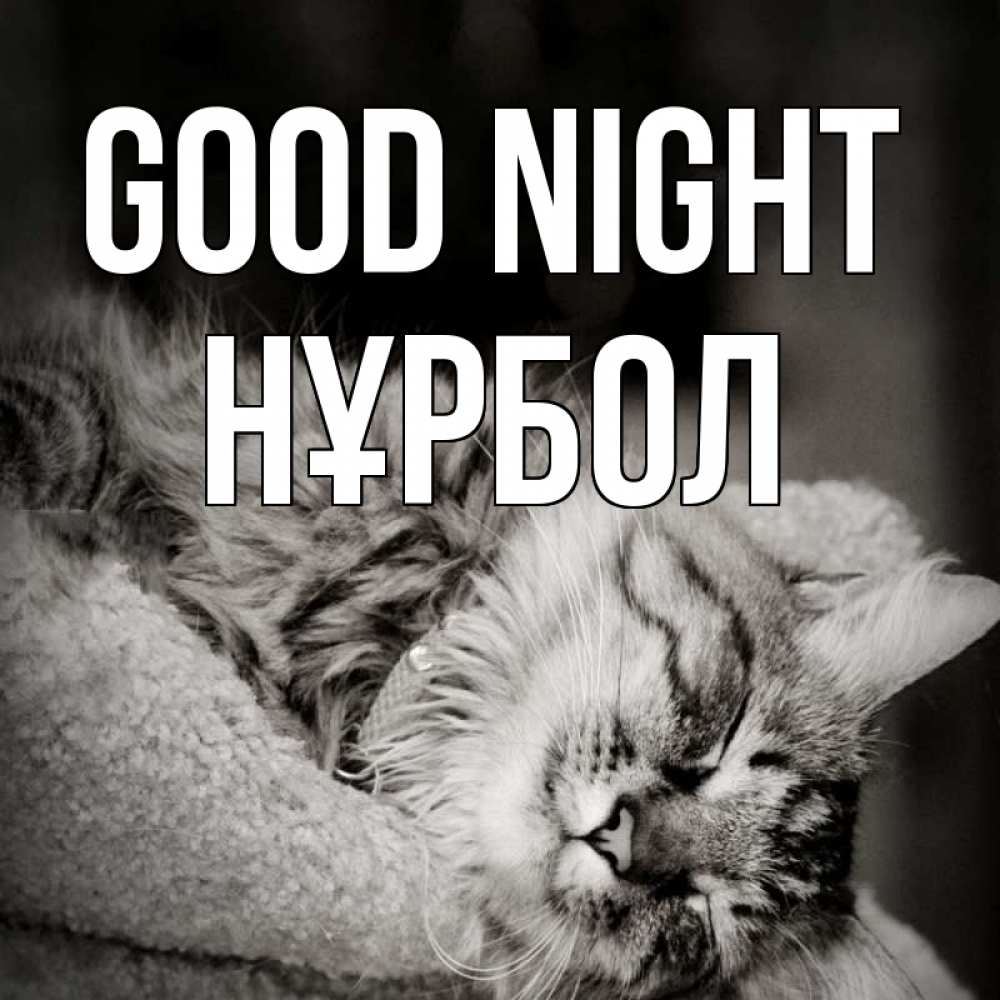 Greetings card с именем, НҰРБОЛ Good night котярик пушистый Greetings with text for free download 