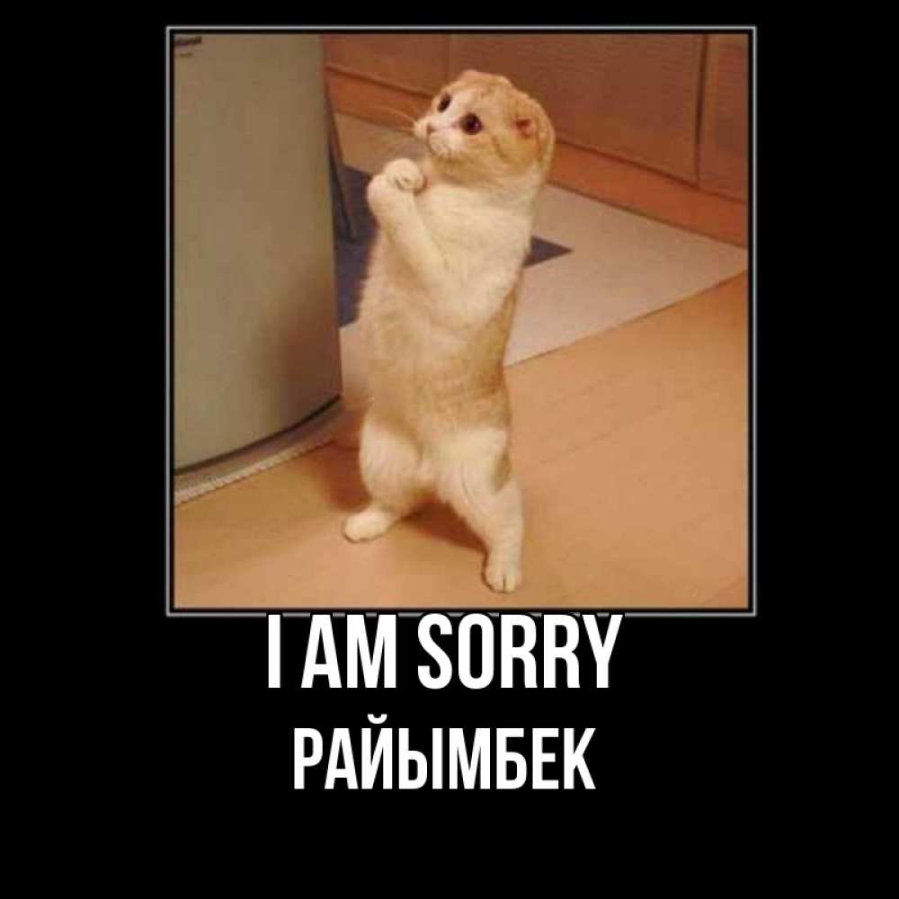 Greetings card с именем, РАЙЫМБЕК I am sorry открытка с милым несчастным котиком просящим прощения Greetings with text for free download 