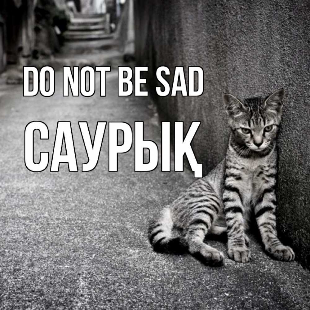 Greetings card с именем, САУРЫҚ Do not be sad скучающий котик Greetings with text for free download 