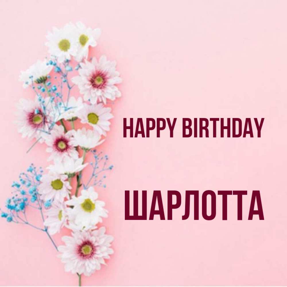 Greetings card с именем, Шарлотта Happy Birthday Родная моя с днем рождения тебя картинка с цветами белыми и голубыми Greetings with text for free download 