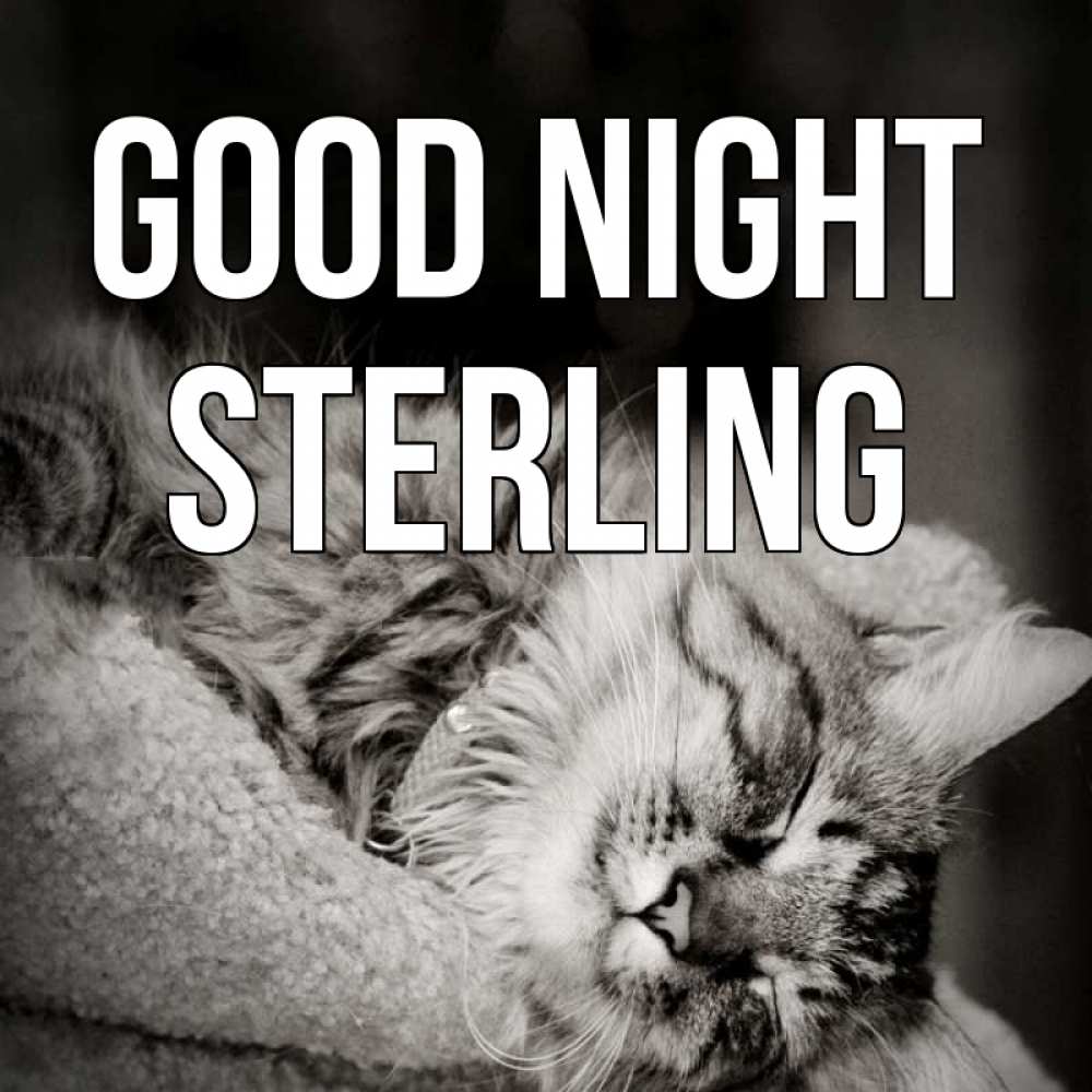 Greetings card с именем, Sterling Good night котярик пушистый Greetings with text for free download 