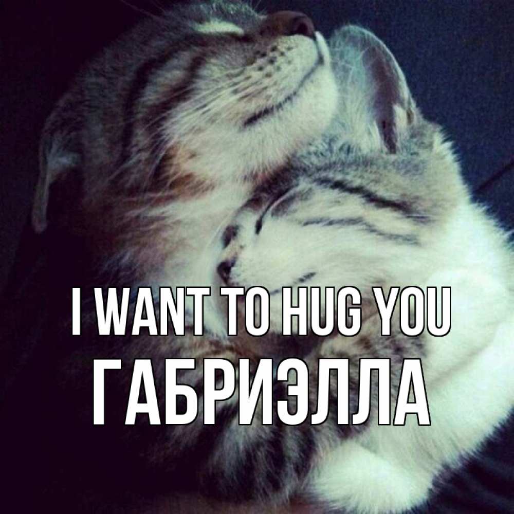 Greetings card с именем, Габриэлла I want to hug you полосатики Greetings with text for free download 