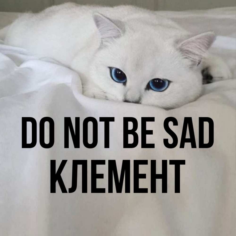Greetings card с именем, Клемент Do not be sad Голубоглазая кошка Greetings with text for free download 