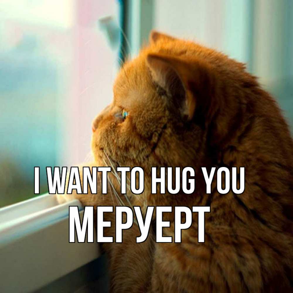 Greetings card с именем, МЕРУЕРТ I want to hug you большой огромный рыжий котяра Greetings with text for free download 